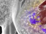 CANCER SEIN Bloquer mitochondrie pour épuiser cellule tumorale Journal Biological Chemistry