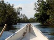 Bonne nouvelle sauvegarder valoriser canal pangalanes