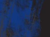 (note lecture) Jean-Pascal Dubost, "Fantasqueries", Laurent Albarracin