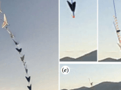 VIDEO. drone capable plonger comme Bassan