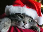 Bonnes fêtes d'année toutes tous