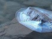 Eloge faiblesse chamoniarde