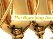 Bigreblog Awards 2016