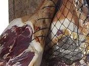 France Gourmande 100% terroirs Livre