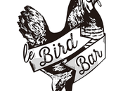 Bird nouveau concept Notre-Dame