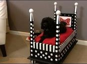 lieu jeter cette vieille table, elle transforme parfait pour chien