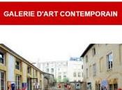 CRIDART exposition Anne-Marie CUTOLO Février Mars 2017