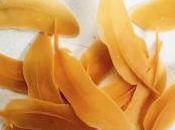 Galerie CROUS PARIS exposition EMMA BOURGIN fleur 15/25 Février 2017