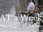 l’ordi Spécial Week Winter Edition