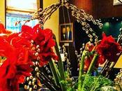 Très belle Saint-Valentin tous amoureux