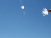 Comme sensation d'une fourmi...