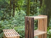 Second Nature, gamme mobilier Chialing Chang