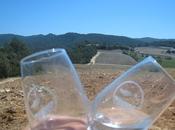 Balade Gourmande dans Vignes