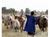 Niger Résoudre durablement conflits agriculteurs-éleveurs
