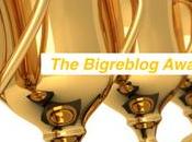 Bigreblog Awards 2016: almost results (Divers)