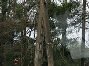 Tempête Zeus dégâts