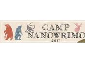 l’ordi Camp NaNoWriMo