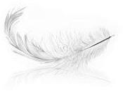 L'avantage skis légers