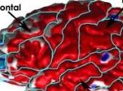 DÉPRESSION cerveau propre système décompression Molecular Psychiatry
