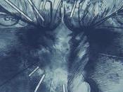 [Vidéo] Après Street Fighter Hokuto fait promotion Toyota C-HR