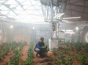 Faire pousser patates avec même environnement Mars, c’est possible