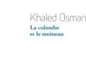 Khaled Osman colombe moineau