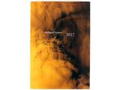 Wolfgang tillmans 2017