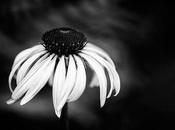 Jour Terre, virée l’envers…