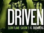Driven Slow flame Bromberg
