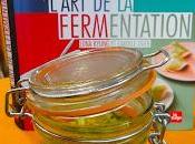 J'ai fait légumes fermentés