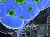 SYNDROME CÔLON IRRITABLE cerveau cause dans déséquilibre microbiote Microbiome