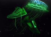 Wish SneakerBoy Adidas Consortium