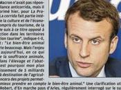 corrida, cette pratique d'un autre