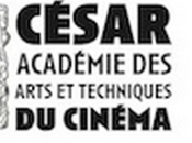 Nuits 2017, tour Monde courts