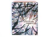 Raymond pettibon work