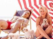 s’incruste dans photos célébrités, pour dormir près d’eux