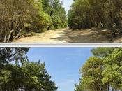 Resto 4**** Plage (mai 2017)