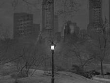Insomniaque, photographie Central Park seul dans nuit