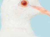 Always Kevin sauvage d’Inuït dans remarquable