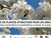 juin, semaine française plantes mellifères