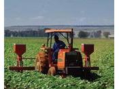 Cameroun conseils agricoles plombent monde rural
