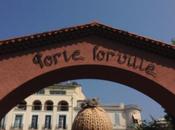 Cannes marché Forville