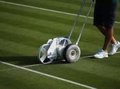 Découvrez l’évolution gazon pendant Wimbledon