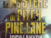 Mystère Pitch Pine Lane, Josh Lanyon