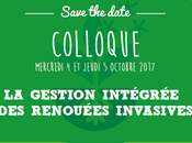 Pour gestion intégrée renouées invasives