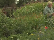 Promenade Potager extraordinaire Mothe-Achard (Vendée)