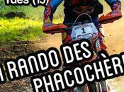 Rando Phacochères MCPS octobre 2017 Ydes (15) Cantal