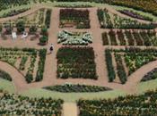 plus grand champ dahlias monde c'est Terra Botanica
