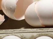 France rattrapée scandale œufs contaminés fipronil