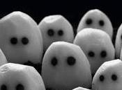 Lecture Pascal Garnier Trop près bord